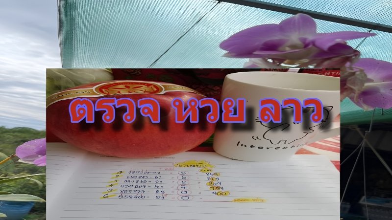 ตรวจ หวย ลาว